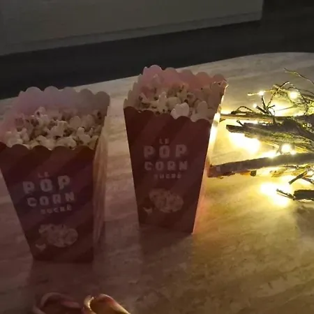 L'elegant - Terrasse Parking Wifi - 5km Airport Апартаменты Жерза