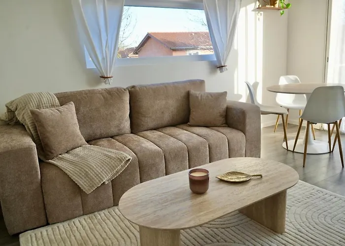 L'elegant - Terrasse Parking Wifi - 5km Airport