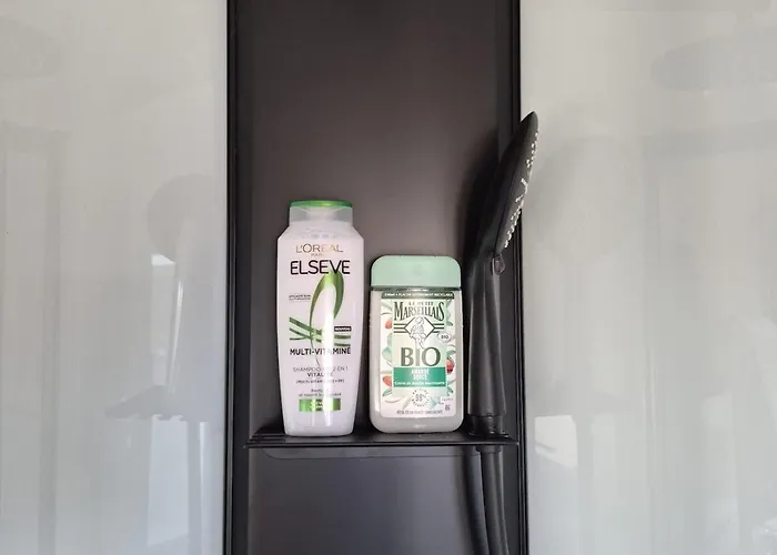 L'elegant - Terrasse Parking Wifi - 5km Airport Appartamento Gerzat