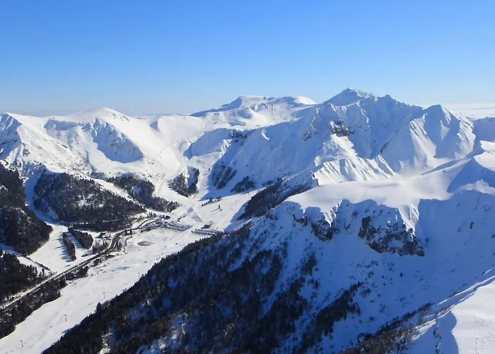 L'elegant - Terrasse Parking Wifi - 5km Airport * Gerzat